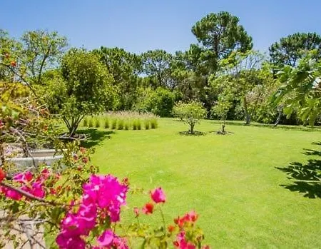 فيلة Vale Do Garrao Sleeps 12 Pool فالي دو لوبو